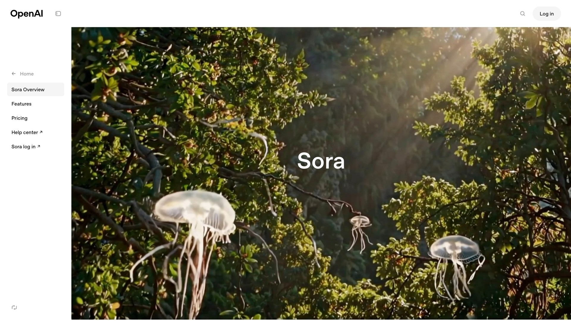 Sora截图
