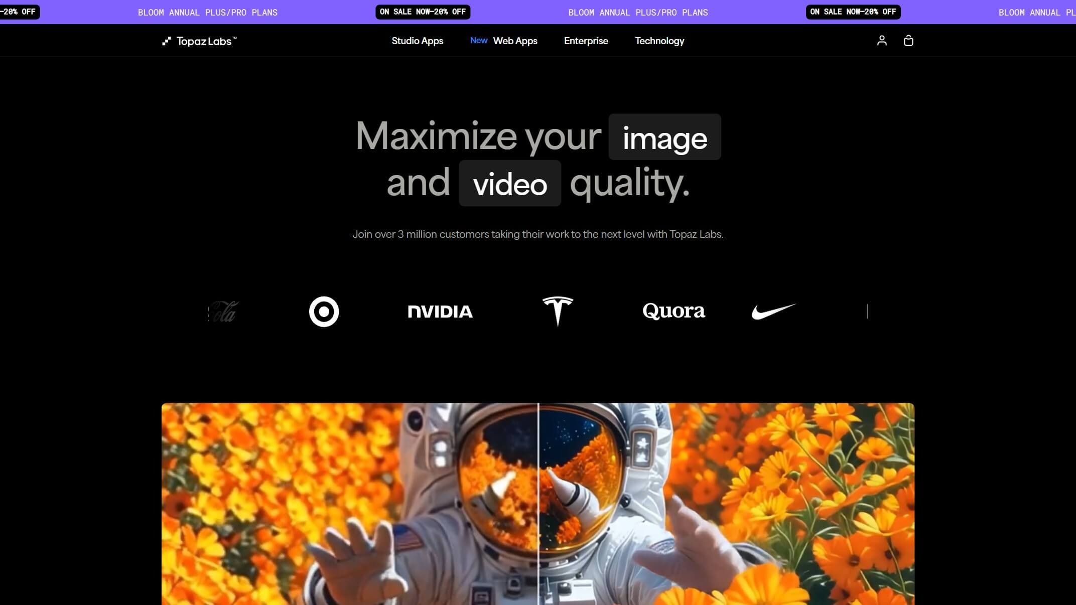 Topaz Labs截图