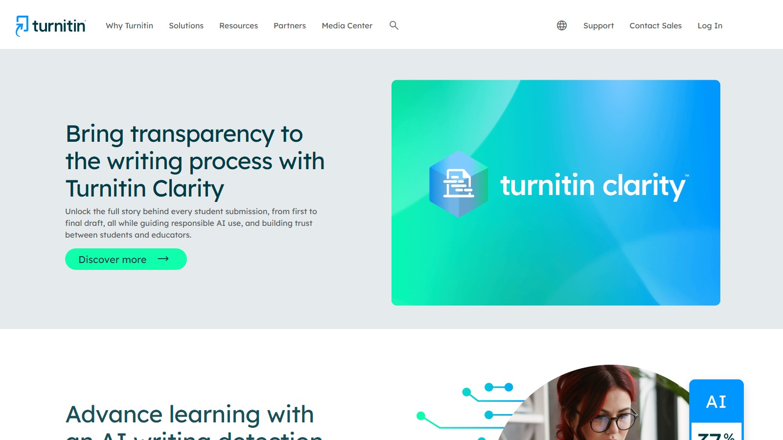 Turnitin截图
